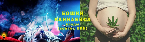 Альфа ПВП Елизово