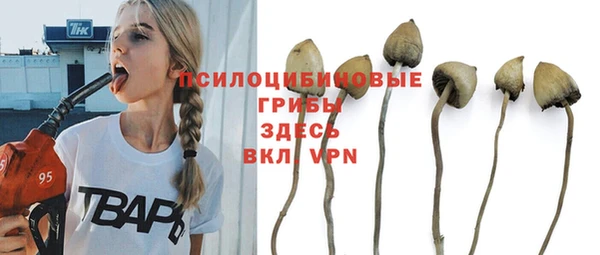 дурь Саяногорск