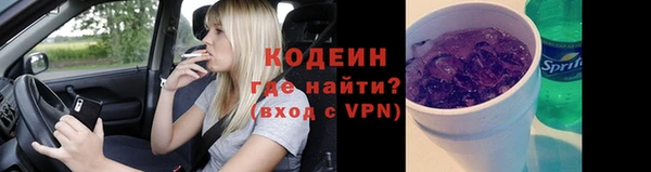 spice Ельня