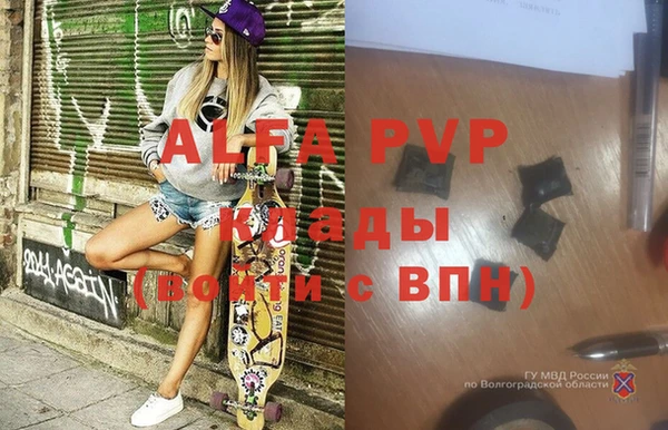 Альфа ПВП Елизово