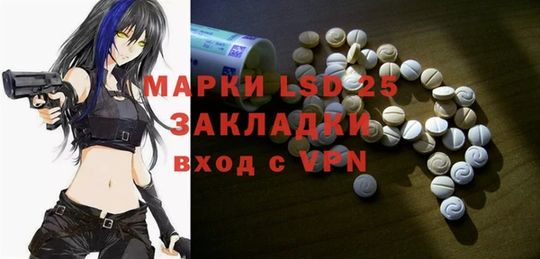 spice Ельня